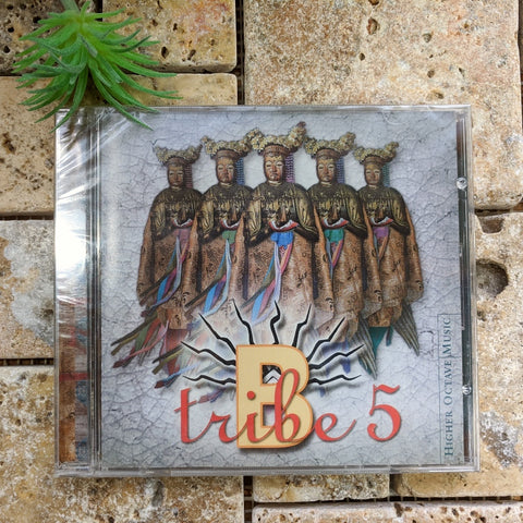 B-Tribe 5 CD~ B-Tribe