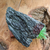 Garnet in Fuschsite~CRGARNF1