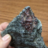 Garnet in Fuschsite~CRGARNF1