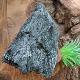 Garnet in Fuschsite~CRGARNF1