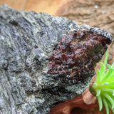 Garnet in Fuschsite~CRGARNF1