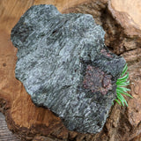 Garnet in Fuschsite~CRGARNF2
