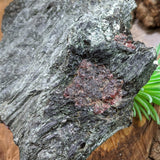 Garnet in Fuschsite~CRGARNF2