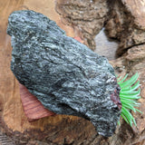 Garnet in Fuschsite~CRGARNF4