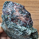 Garnet in Fuschsite~CRGARNF4