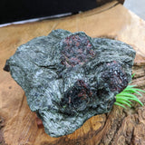 Garnet in Fuschsite~CRGARNF5