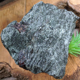 Garnet in Fuschsite~CRGARNF5