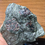 Garnet in Fuschsite~CRGARNF5