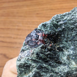 Garnet in Fuschsite~CRGARNF5