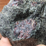 Garnet in Fuschsite~CRGARNF5