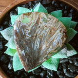 Aragonite in Agate Cabochon~JCABARA5