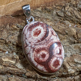 Birds Eye Rhyolite Pendant~JSSBERP1