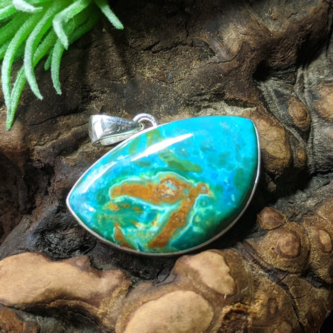 Copper Petrified Wood Pendant~JSSCPWP5