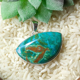 Copper Petrified Wood Pendant~JSSCPWP5