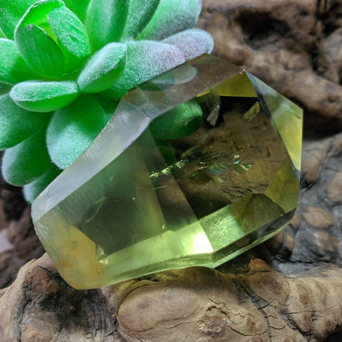 Citrine Scepter Crystal~CRCITS05
