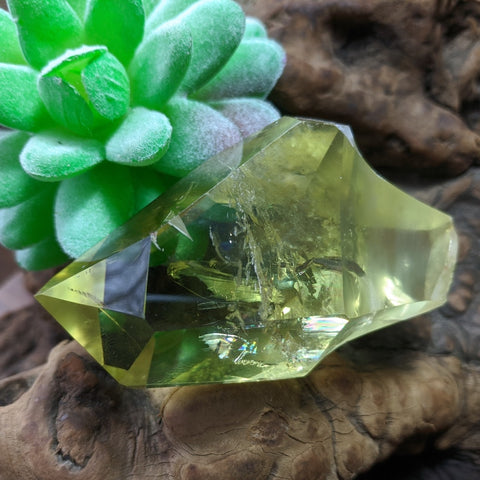 Citrine Scepter Crystal~CRCITS06