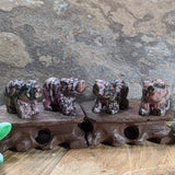 Rhodonite Bear Carving~CRRHBEAR