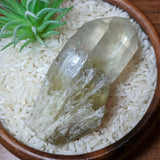 Polished Citrine Candle Quartz Crystal~CRCCQC06