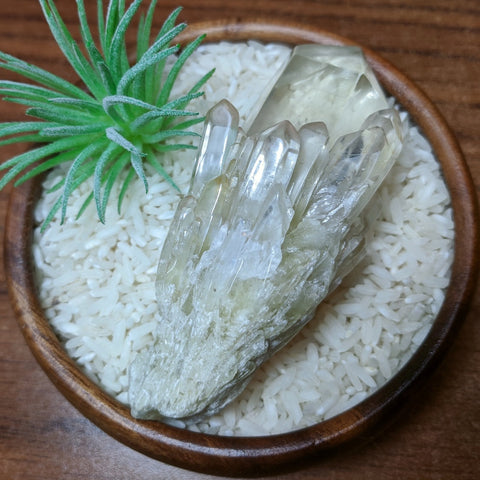 Polished Citrine Candle Quartz Crystal~CRCCQC10