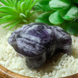 Amethyst Three Legged Toad Feng Shui Carving~CRTLTAME