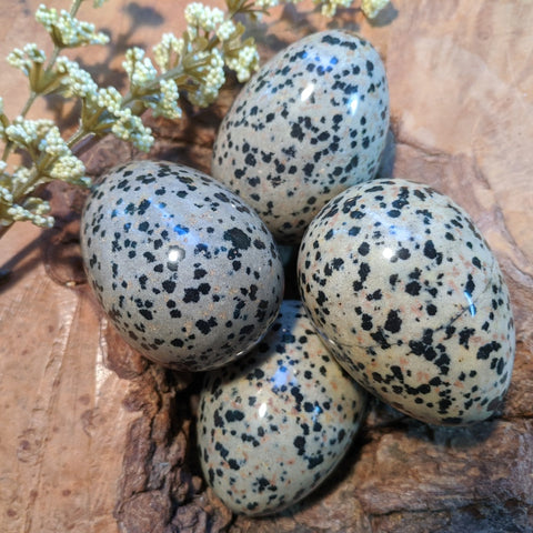 Dalmation Jasper Egg- CRDALEGG
