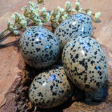 Dalmation Jasper Egg- CRDALEGG
