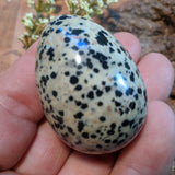 Dalmation Jasper Egg- CRDALEGG