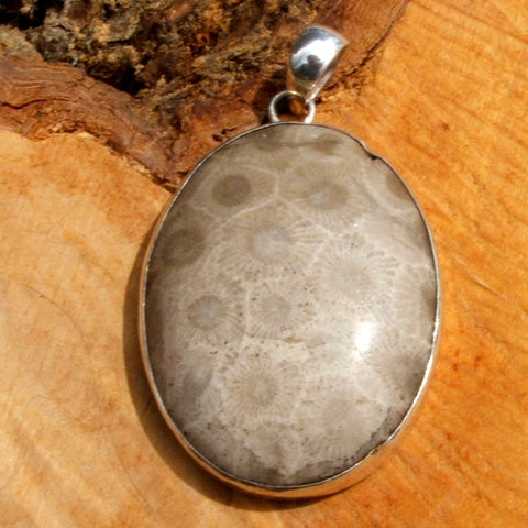 Petoskey Stone Pendant