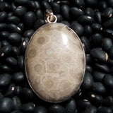Petoskey Stone Pendant