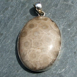 Petoskey Stone Pendant