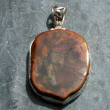 Petrified Wood Pendant