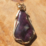 Wire Wrapped Spiny Oyster Shell Pendant JWR0040