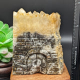 House Carving #2~CRHOUS02