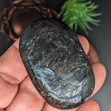 Garnet in Arfvedsonite Palm Stone~CRARFPS1