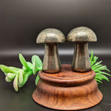 Pyrite Mushroom~CRPYMSRM