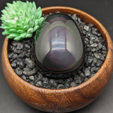 Rainbow Obsidian Egg~CRROEGG1