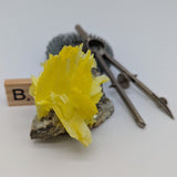 Yellow Arcante~Lab Grown~CRLGYARC
