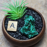Velvet Malachite~CRVELMAL