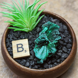 Velvet Malachite~CRVELMAL
