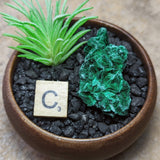 Velvet Malachite~CRVELMAL