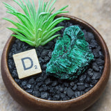 Velvet Malachite~CRVELMAL
