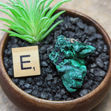 Velvet Malachite~CRVELMAL