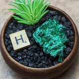Velvet Malachite~CRVELMAL