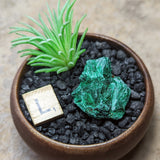 Velvet Malachite~CRVELMAL