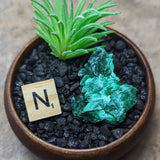 Velvet Malachite~CRVELMAL
