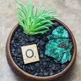 Velvet Malachite~CRVELMAL
