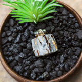 Astrophyllite Pendant~JSSASTR2