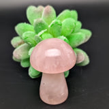 Rose Quartz Mushroom~CRRQMSR1