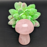 Rose Quartz Mushroom~CRRQMSR2