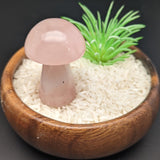 Rose Quartz Mushroom~CRRQMSR1